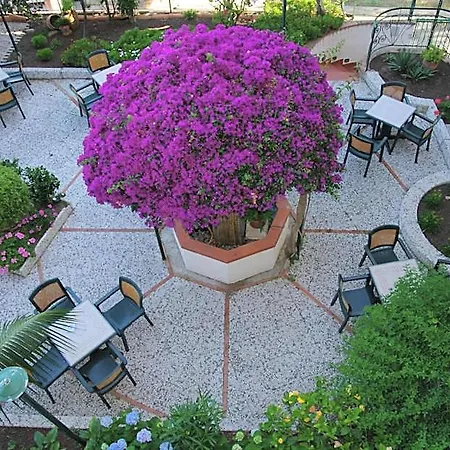 Belvedere Hotel